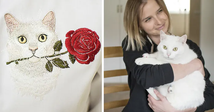 I Met A Cat Who Inspired My Business