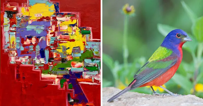 Colorful Birds Of The World
