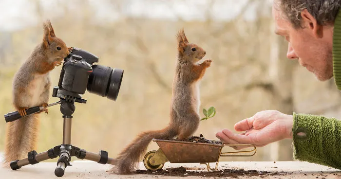 I've Been Shooting Wild Squirrels For 4 Years And They Finally Shot Me Back