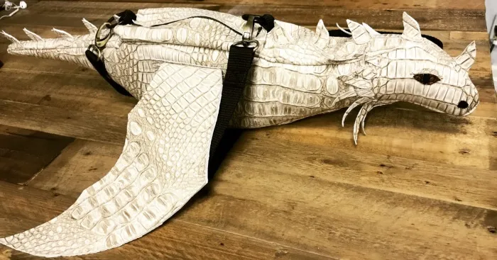 I Create Dragon Bags