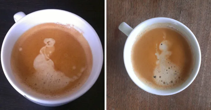 10+ What Have You Found In Your Coffee This Morning?