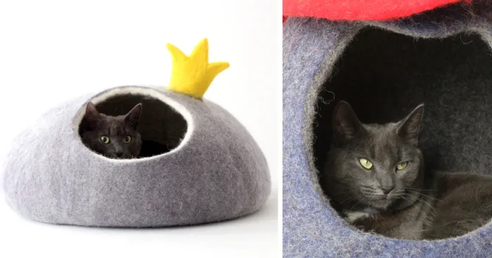 We Make Cat Beds From Fairy-Tales