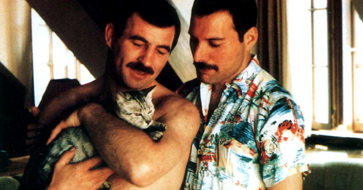 10+ Raras fotos de Freddie Mercury y su novio en los 80 que muestran su lado menos visto