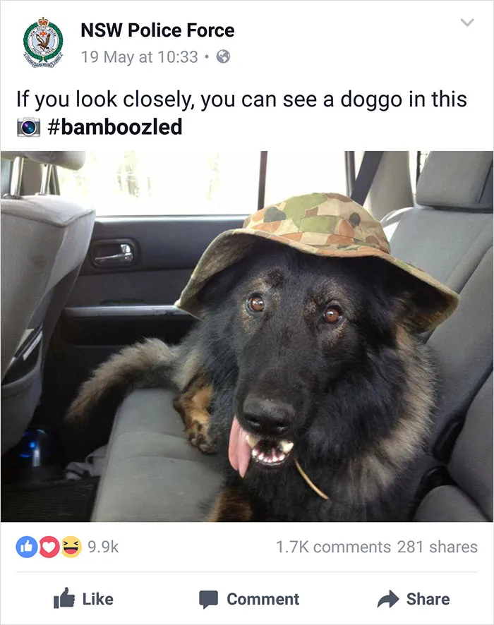 NSW Police Is Winning The Internet With Their Awesome Humor