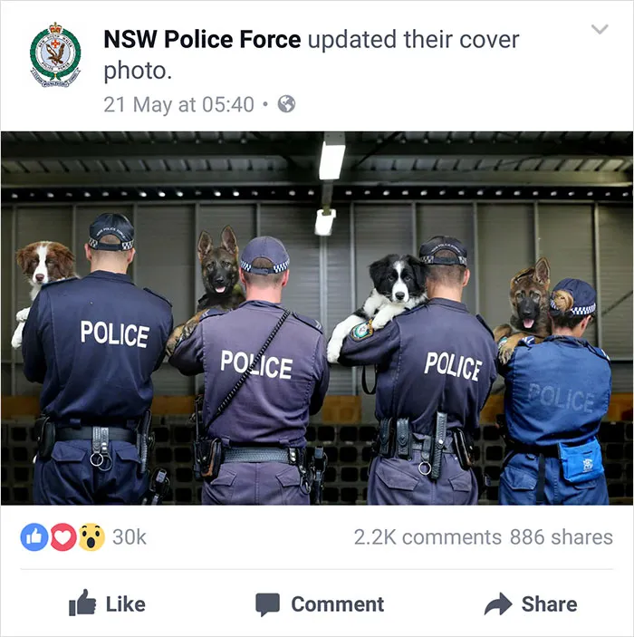 NSW Police Is Winning The Internet With Their Awesome Humor