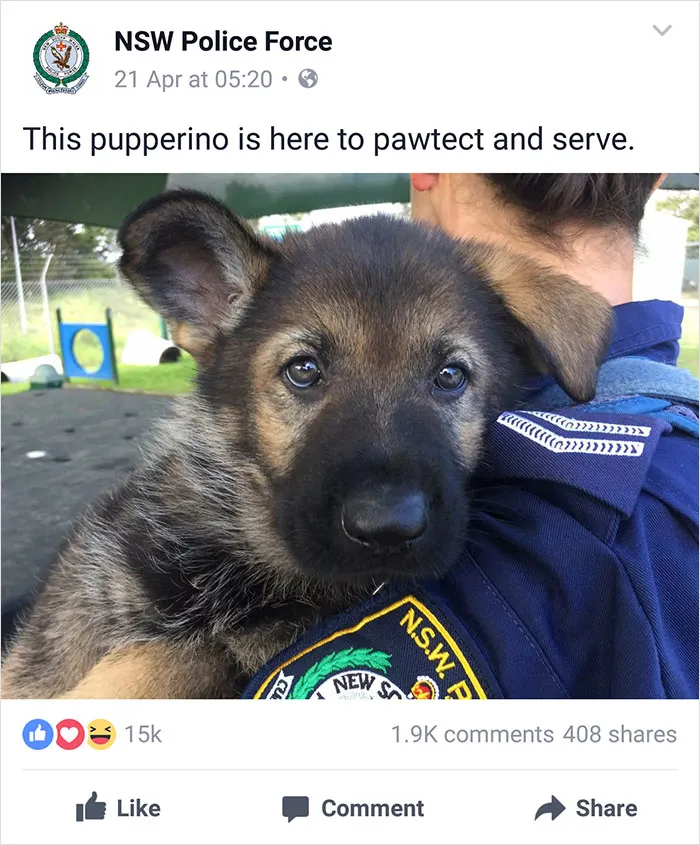 NSW Police Is Winning The Internet With Their Awesome Humor