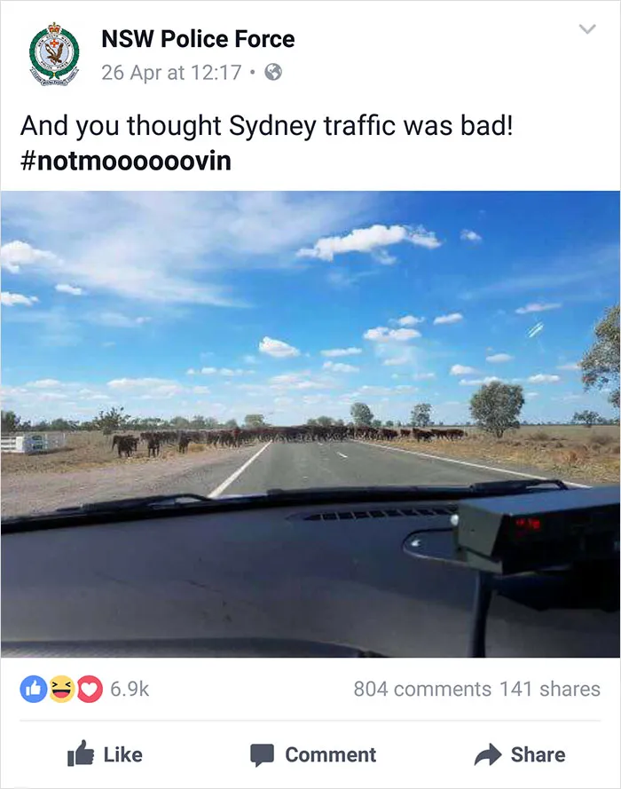 NSW Police Is Winning The Internet With Their Awesome Humor