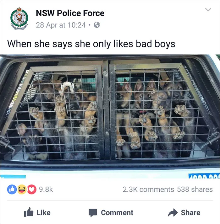 NSW Police Is Winning The Internet With Their Awesome Humor