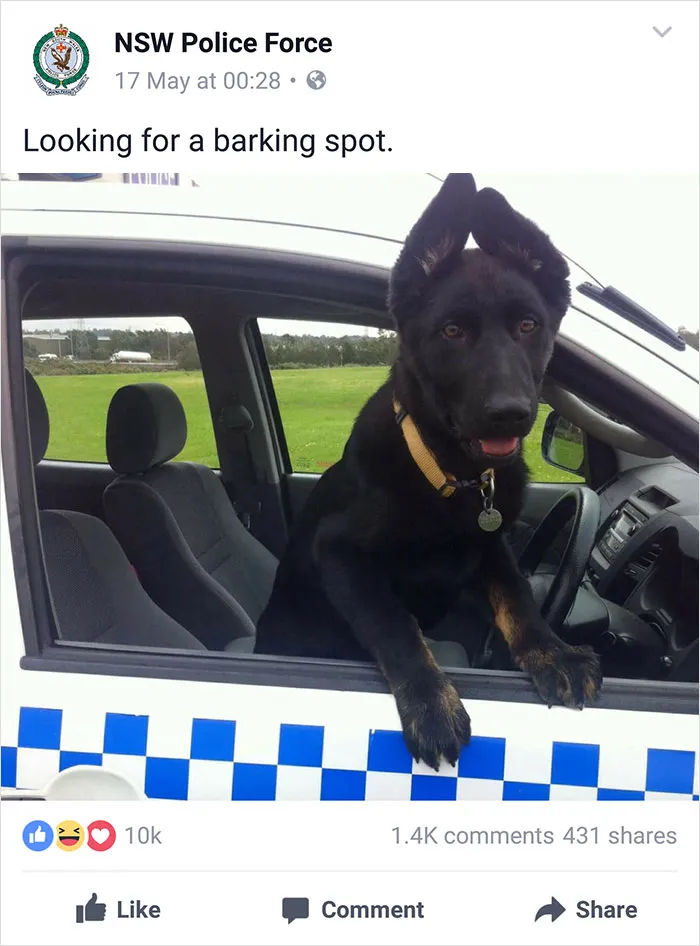 NSW Police Is Winning The Internet With Their Awesome Humor