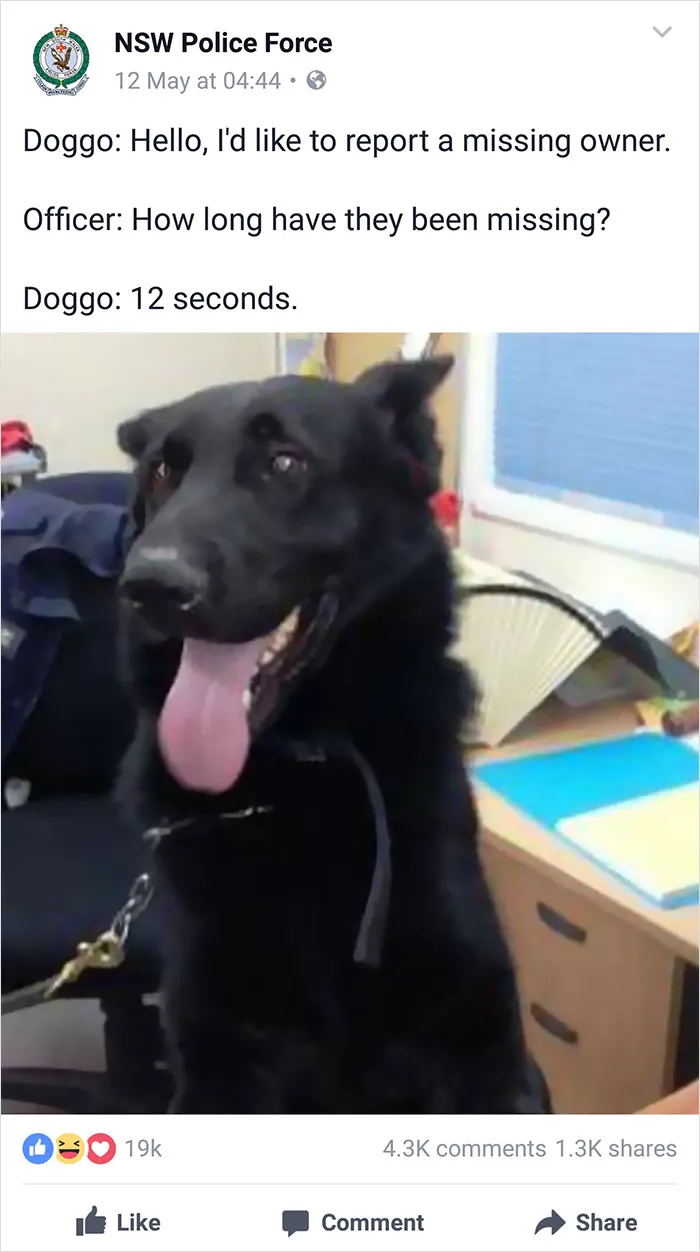NSW Police Is Winning The Internet With Their Awesome Humor