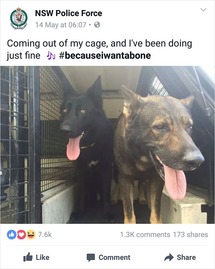 NSW Police Is Winning The Internet With Their Awesome Humor