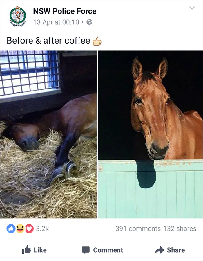 NSW Police Is Winning The Internet With Their Awesome Humor