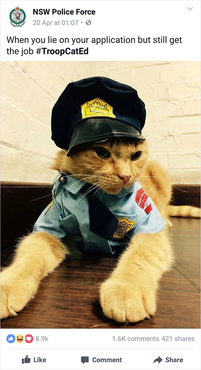 NSW Police Is Winning The Internet With Their Awesome Humor