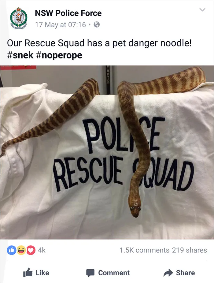 NSW Police Is Winning The Internet With Their Awesome Humor