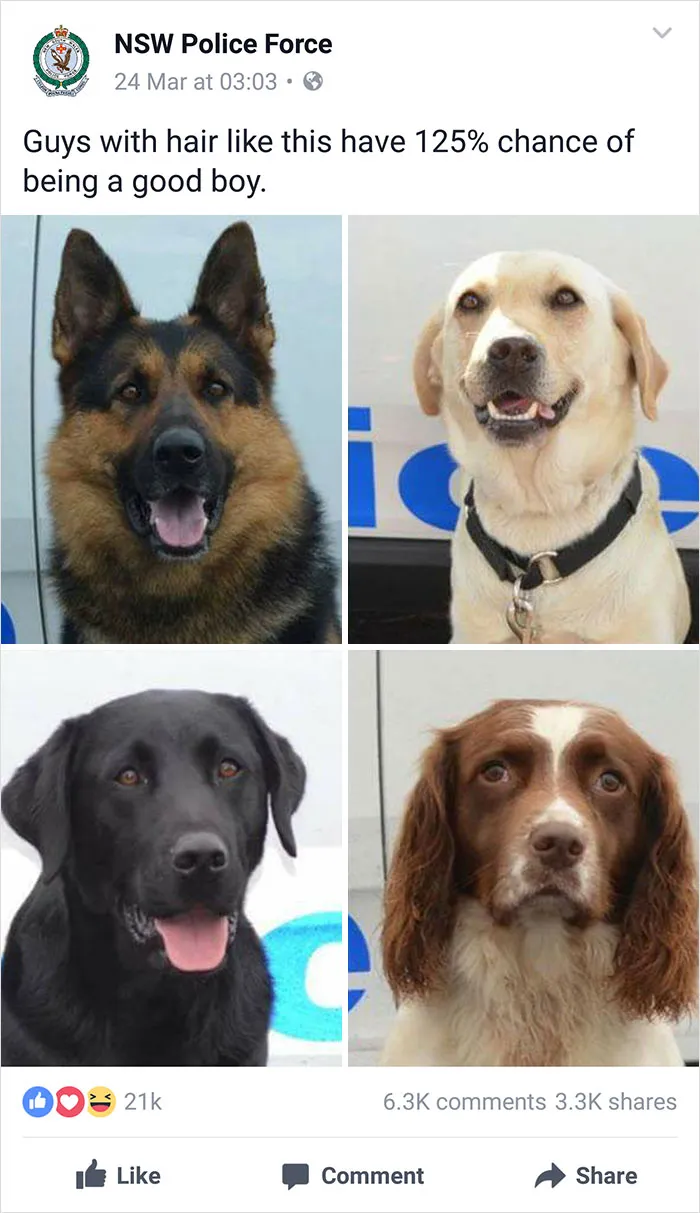 NSW Police Is Winning The Internet With Their Awesome Humor