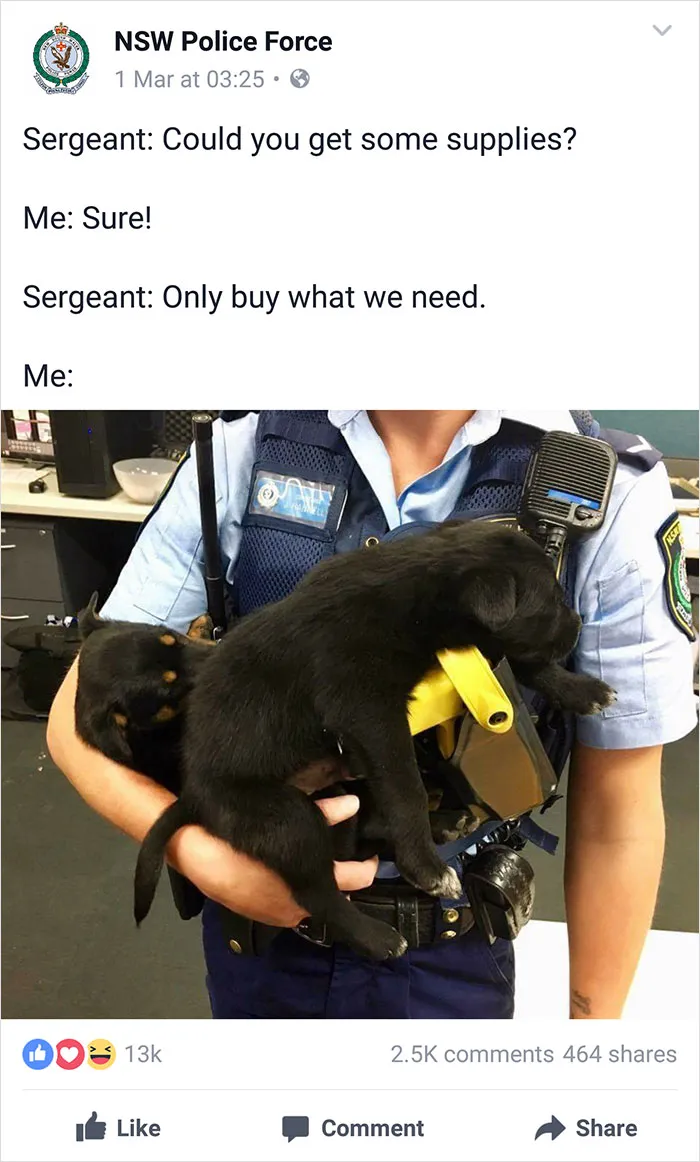 NSW Police Is Winning The Internet With Their Awesome Humor