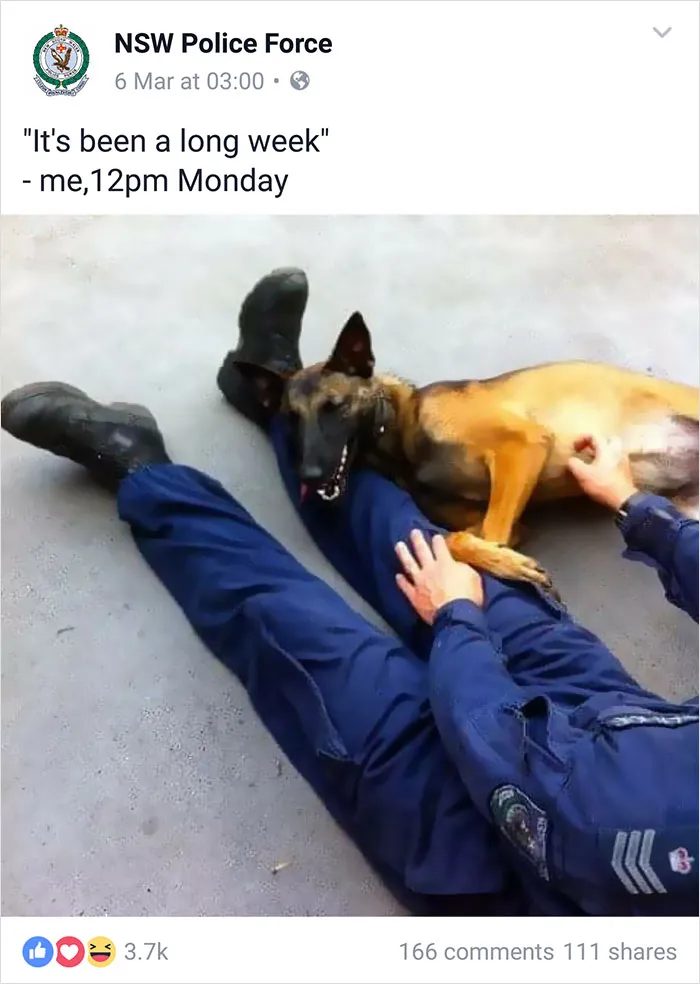 NSW Police Is Winning The Internet With Their Awesome Humor