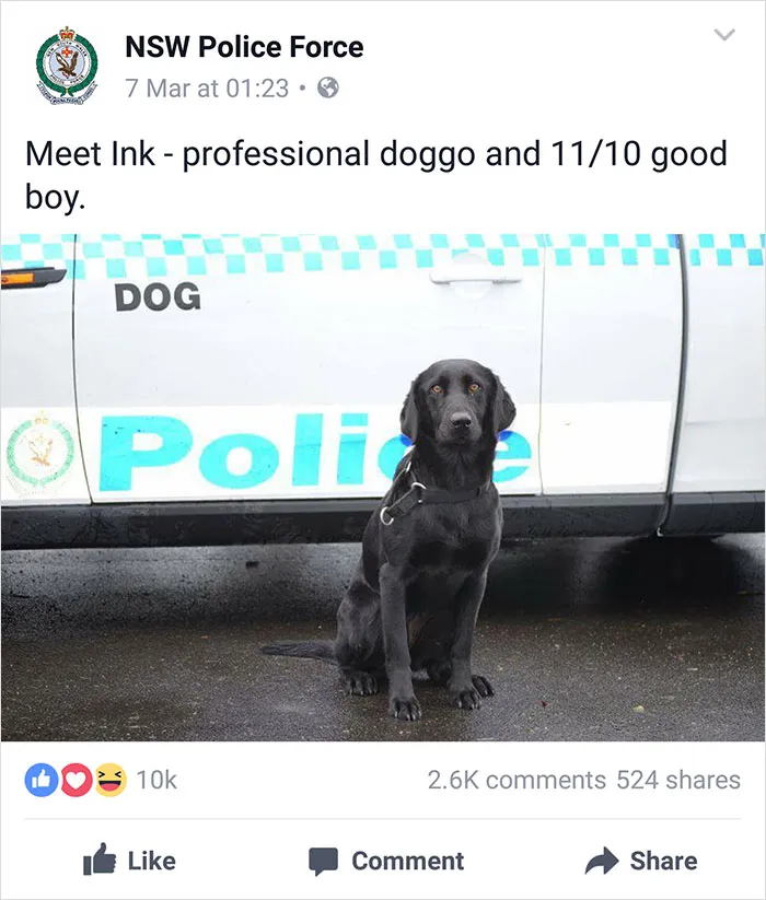 NSW Police Is Winning The Internet With Their Awesome Humor
