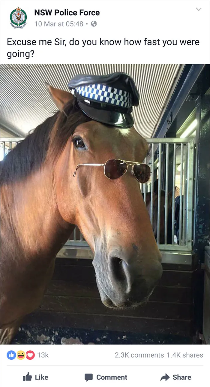NSW Police Is Winning The Internet With Their Awesome Humor