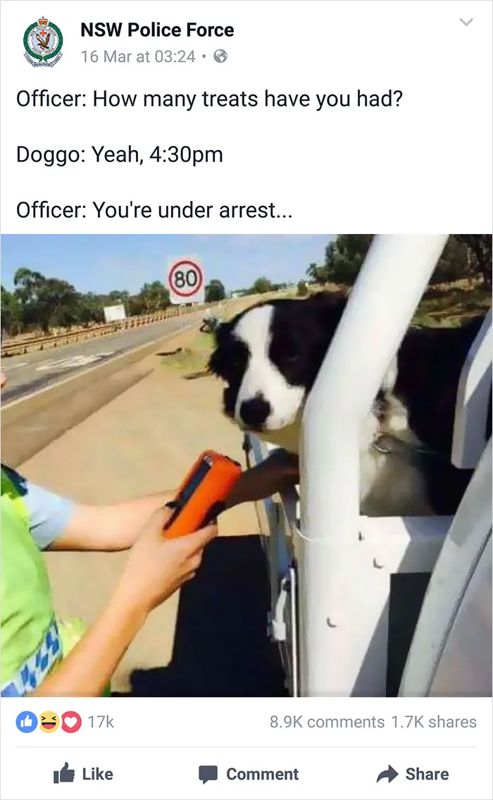 NSW Police Is Winning The Internet With Their Awesome Humor