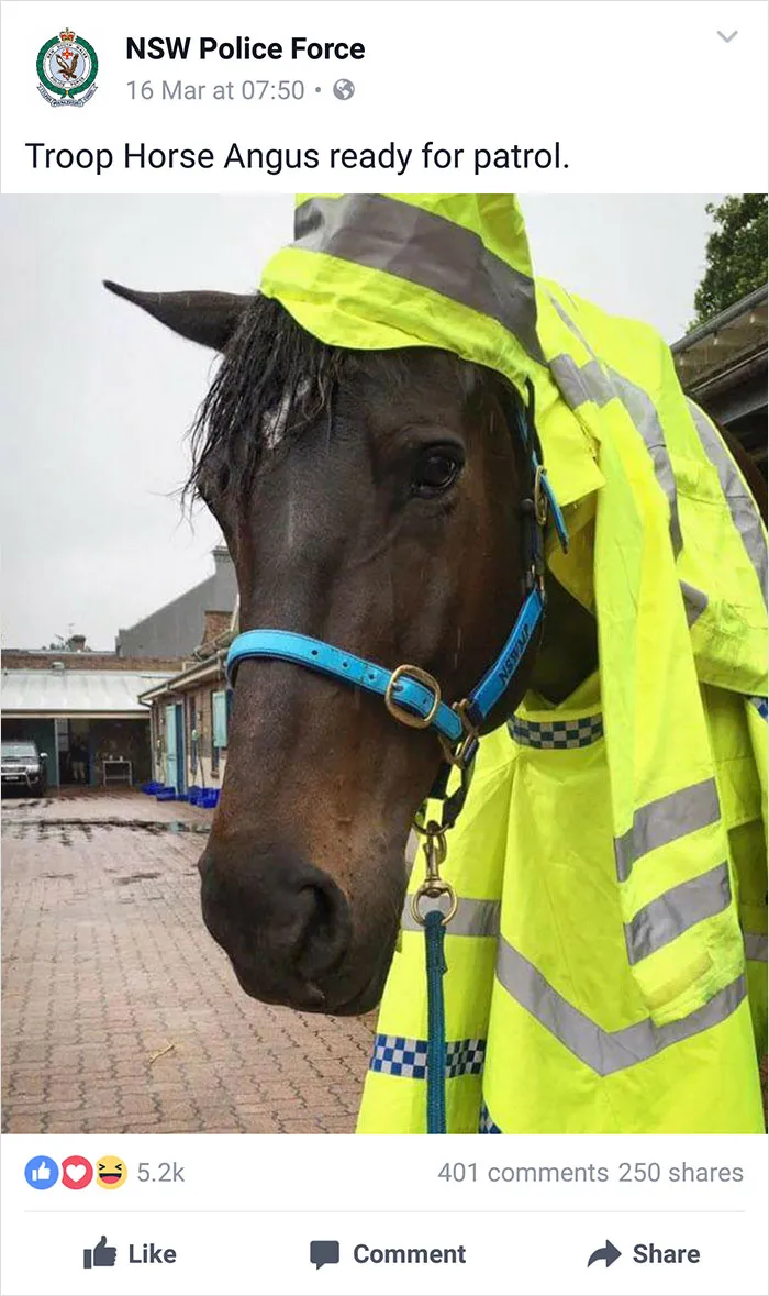 NSW Police Is Winning The Internet With Their Awesome Humor