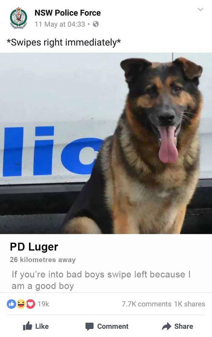 NSW Police Is Winning The Internet With Their Awesome Humor