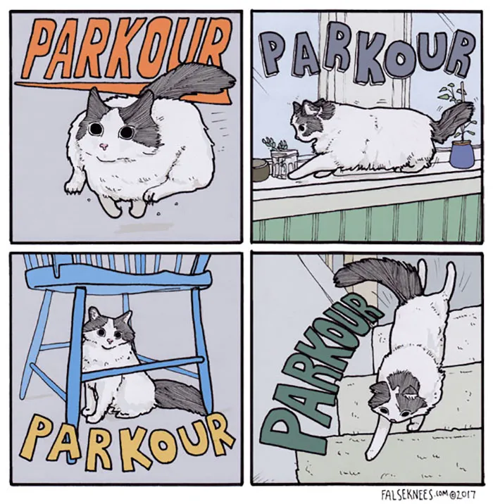 Animal Comics