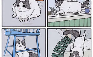 86 Dark And Funny Animal Comics That Show What Is Really Happening Out In The Wild