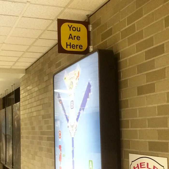 111 Obvious Signs Humanity Is Regressing