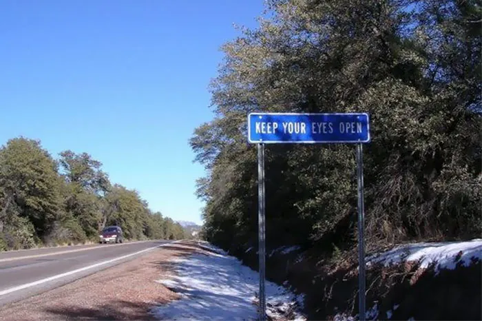 111 Obvious Signs Humanity Is Regressing