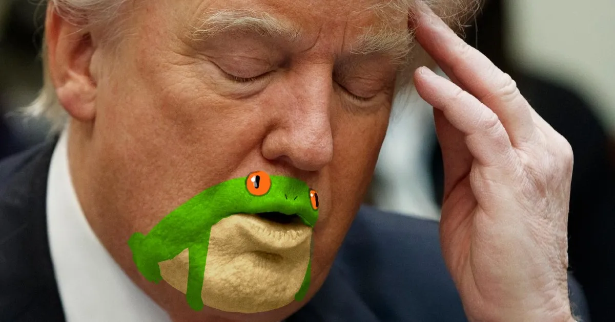 Alguien pensó que la barbilla de Donald Trump parece una rana, y ahora no paran de trolearle