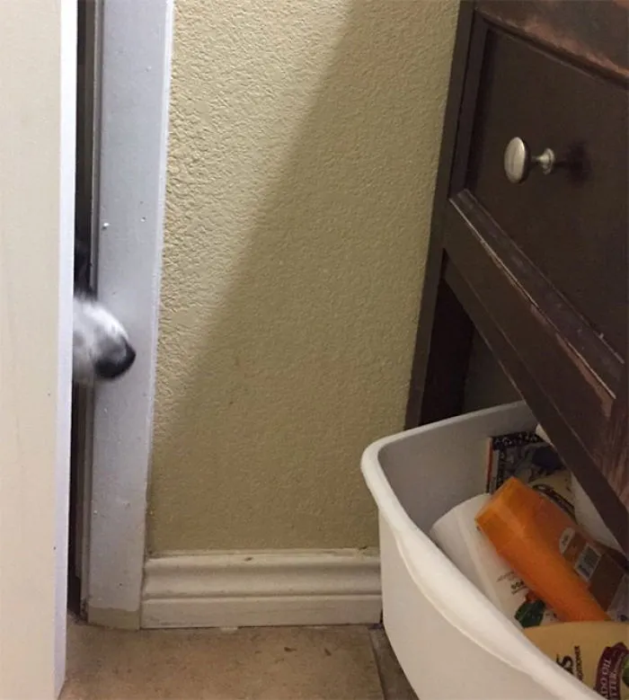 No le dejo entrar al baño. ¿Se cree que no lo veo?