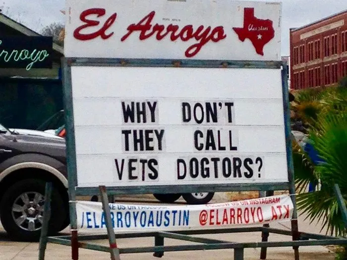 Appropriate Name For Vets