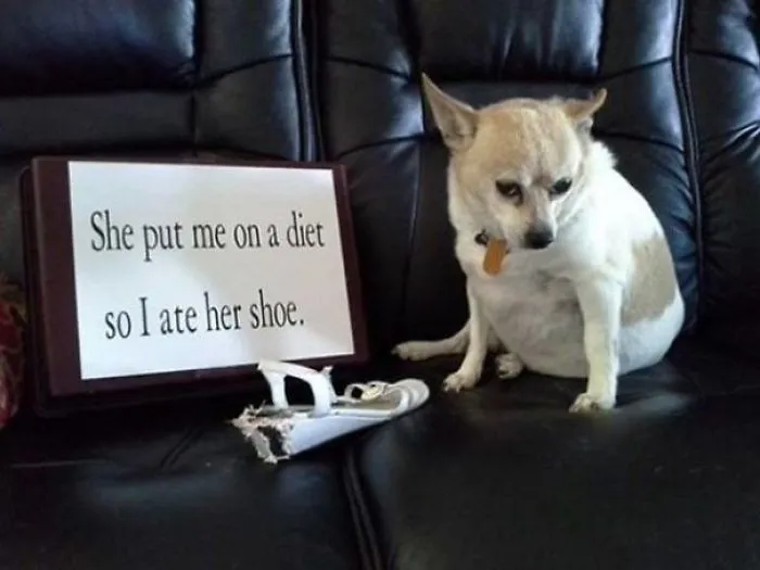 She Put Me On Diet