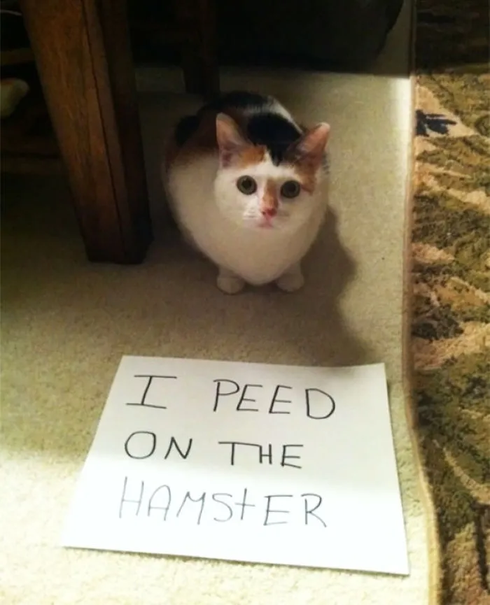 U Better Be Ashamed