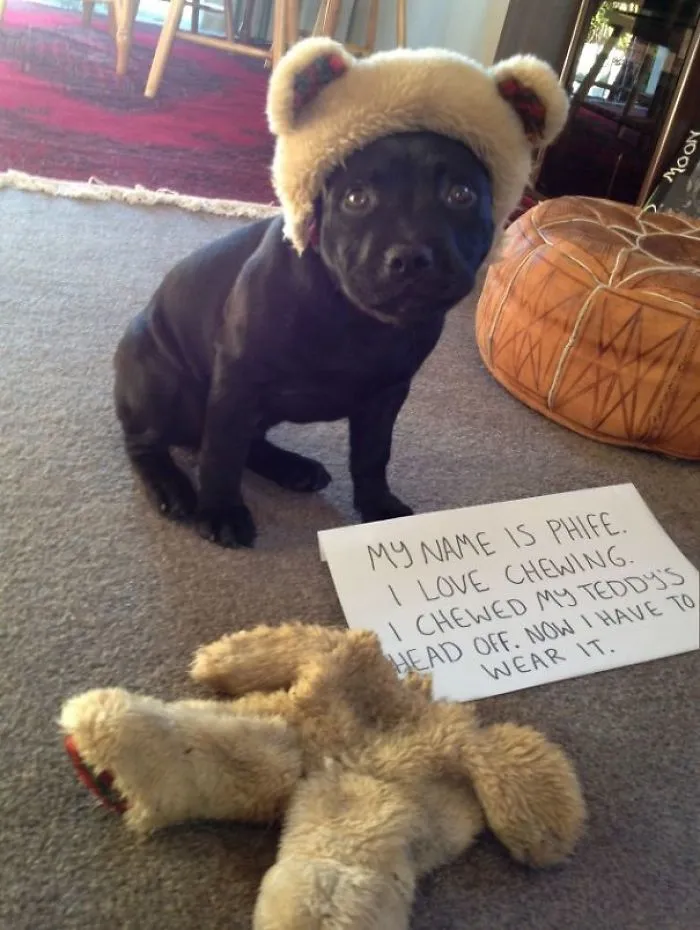 My Name Is Phife