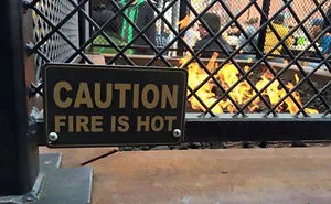 111 Obvious Signs Humanity Is Regressing