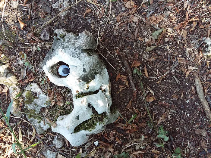 Googly Eyes