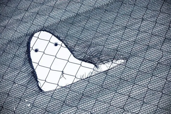 En Bulgaria están poniendo ojos saltones en el mobiliario urbano roto, y queda mejor que arreglarlo