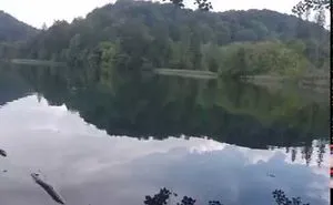 Wait For It