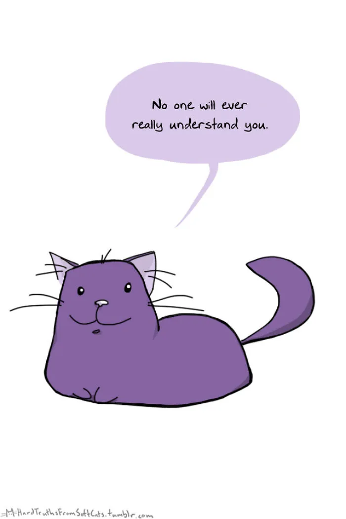 71 Brutal Life Truths Told By Cute Cats Will Give You Mixed Feelings