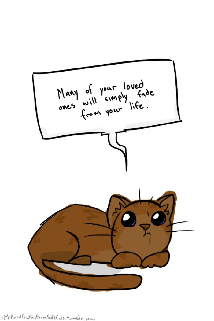71 Brutal Life Truths Told By Cute Cats Will Give You Mixed Feelings