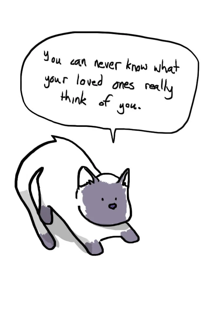 71 Brutal Life Truths Told By Cute Cats Will Give You Mixed Feelings
