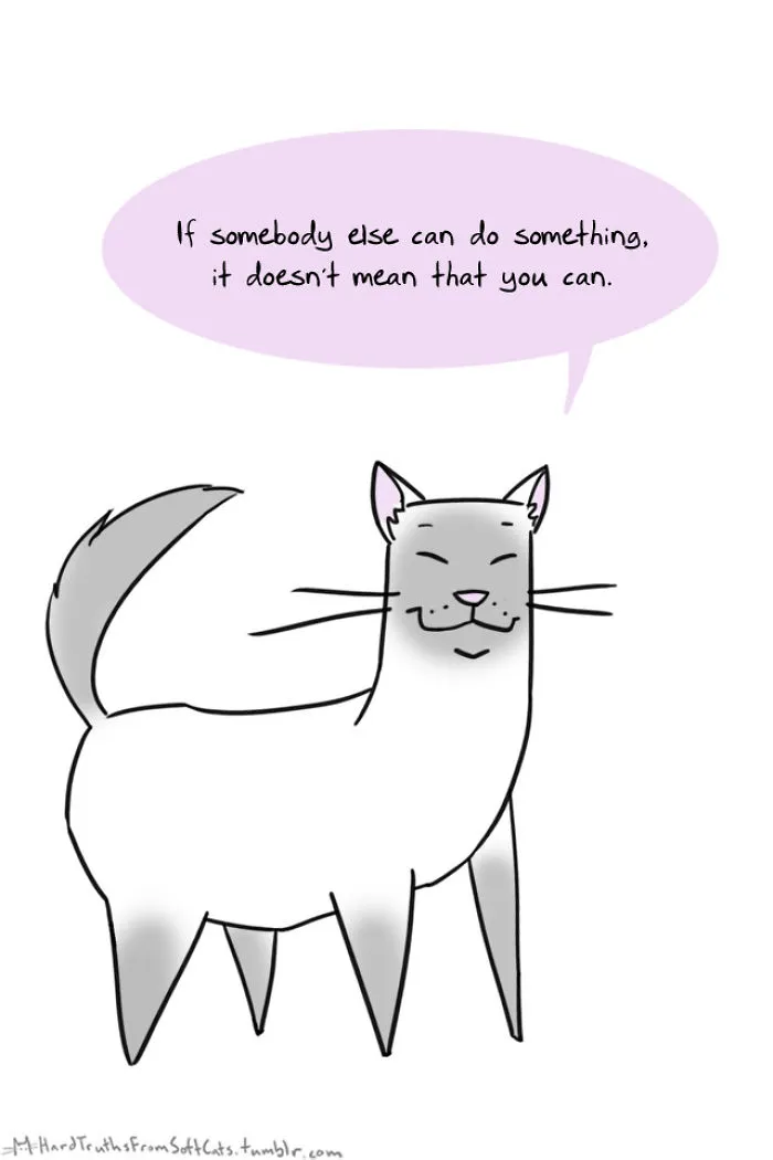 71 Brutal Life Truths Told By Cute Cats Will Give You Mixed Feelings