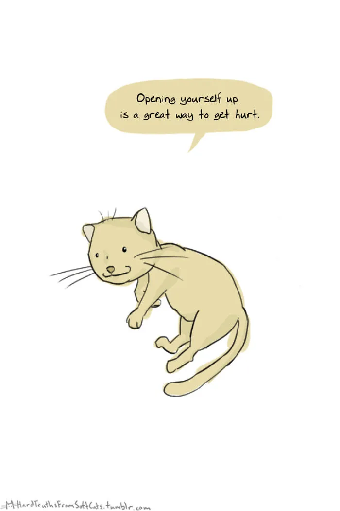 71 Brutal Life Truths Told By Cute Cats Will Give You Mixed Feelings