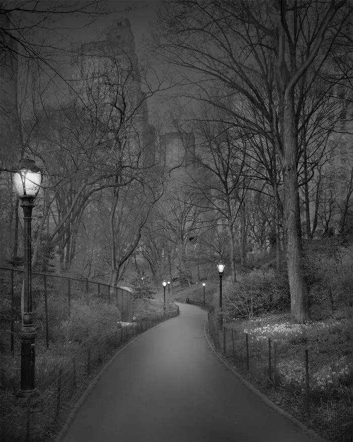 Camino sur, 2009