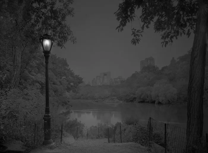Pre-dawn, The Rambles, 2012