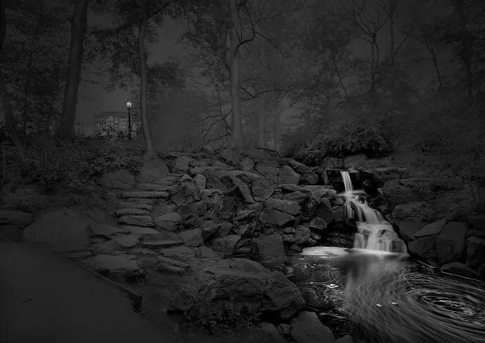 Salida por el bosque Norte, 2012