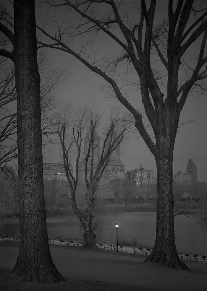 January Dawn, 2017