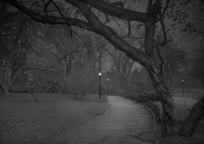 January Dawn, 2017